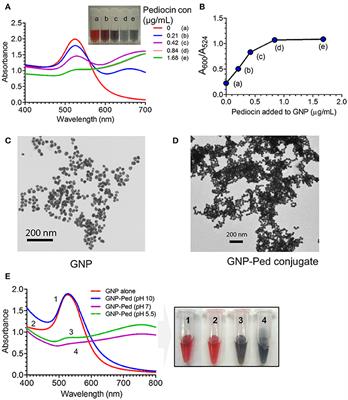 Antilisterial and Antibiofilm Activities of Pediocin and LAP Functionalized Gold Nanoparticles